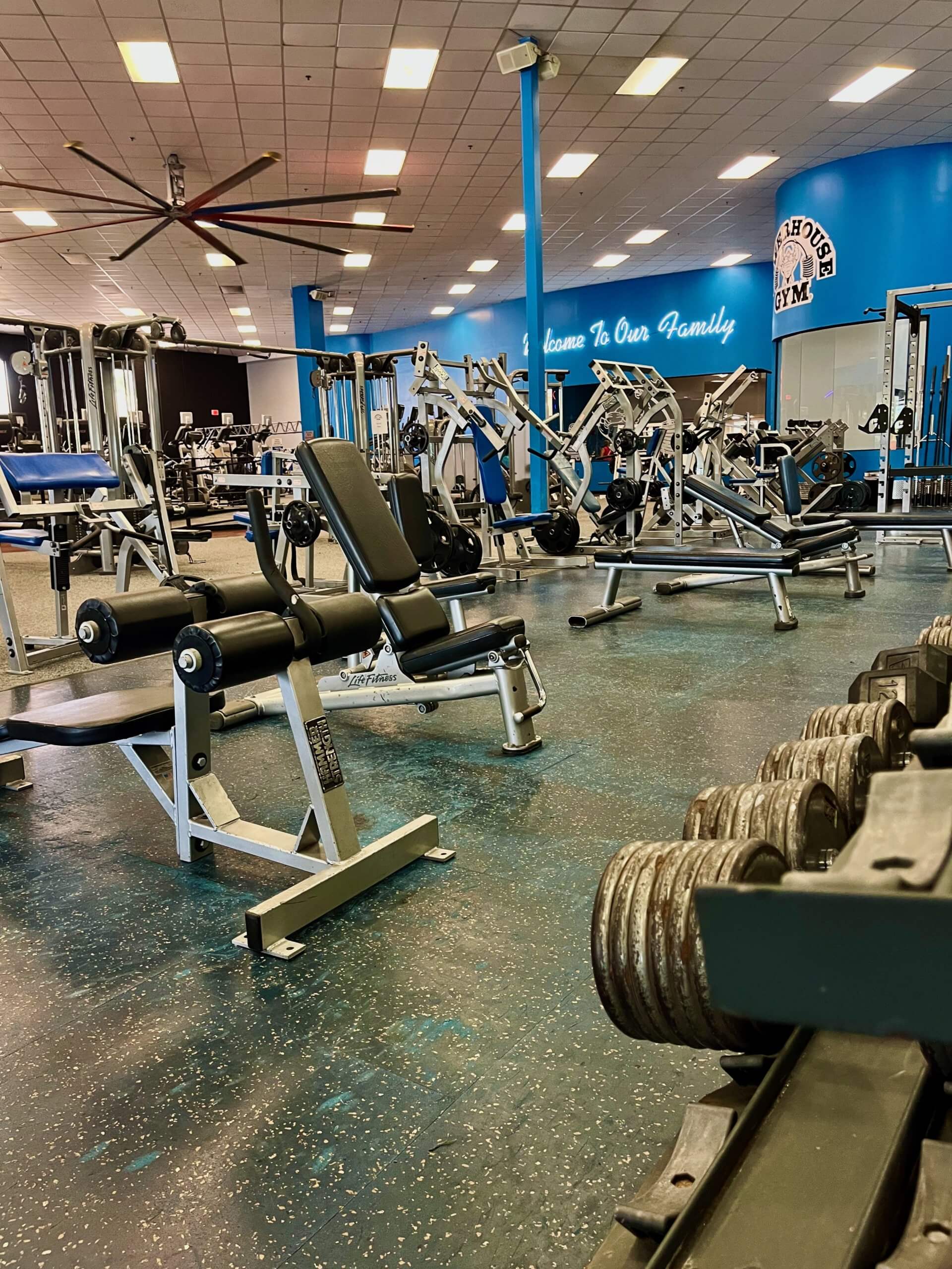 An Image of the Trinity, FL Powerhouse Gym Location